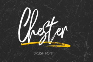 Chester: A Handmade Script Font for Editorial Design