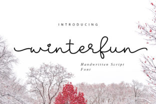 Winterfun Typeface: A Cozy Script for Branding